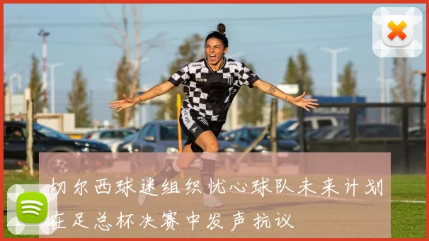 切尔西球迷组织忧心球队未来计划在足总杯决赛中发声抗议