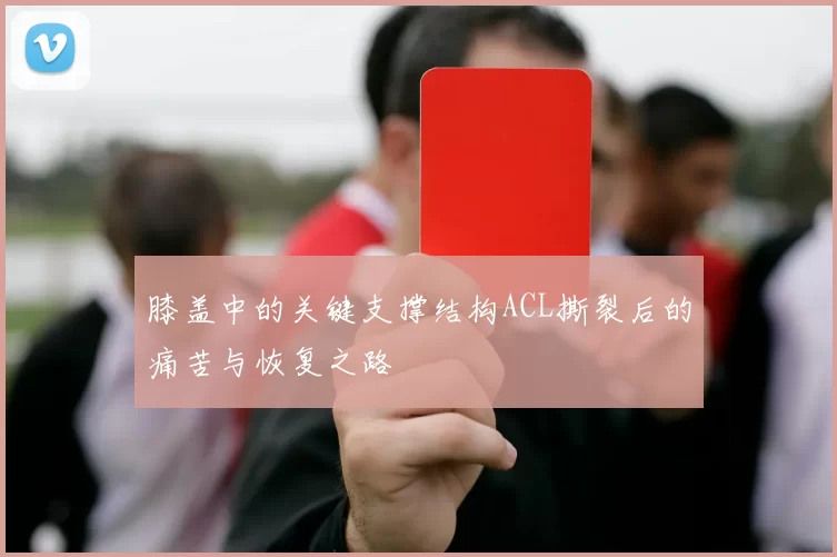 膝盖中的关键支撑结构ACL撕裂后的痛苦与恢复之路