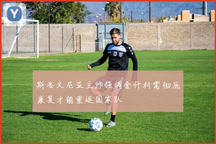 斯洛文尼亚主帅强调舍什科需彻底康复才能重返国家队