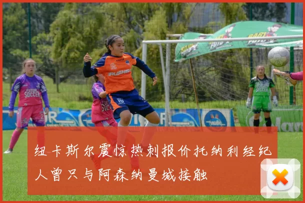 纽卡斯尔震惊热刺报价托纳利经纪人曾只与阿森纳曼城接触